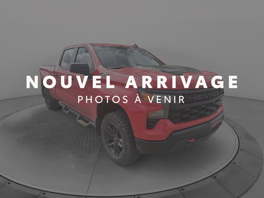 Chevrolet Silverado 1500 2022 2022 Rouge