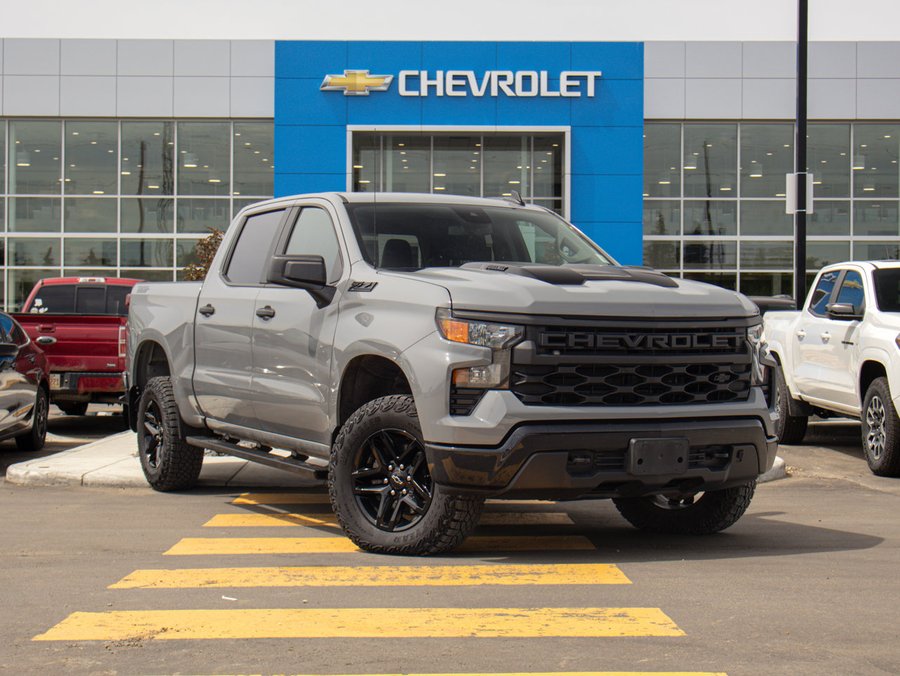 2024 Chevrolet Silverado 1500 2024 Grey