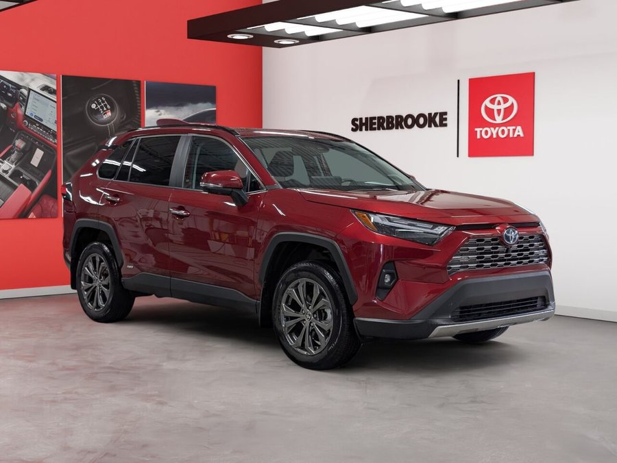Toyota RAV4 Hybride 2024 2024 Rouge