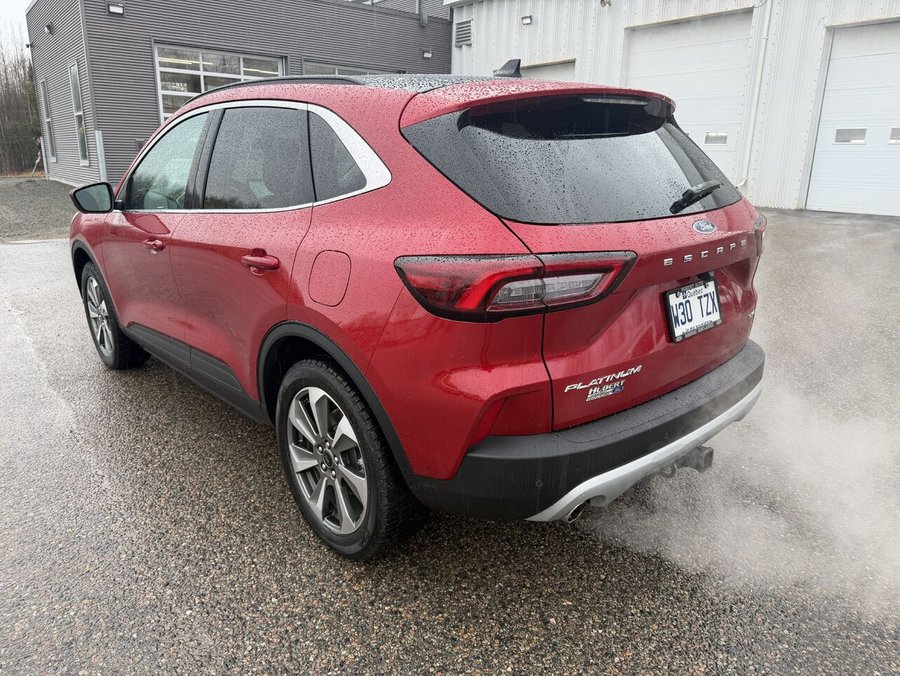 Ford Escape 2025 2025 Rouge