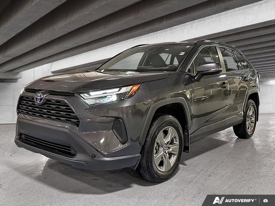 2024 Toyota RAV4 2024 Magnetic Grey Metallic