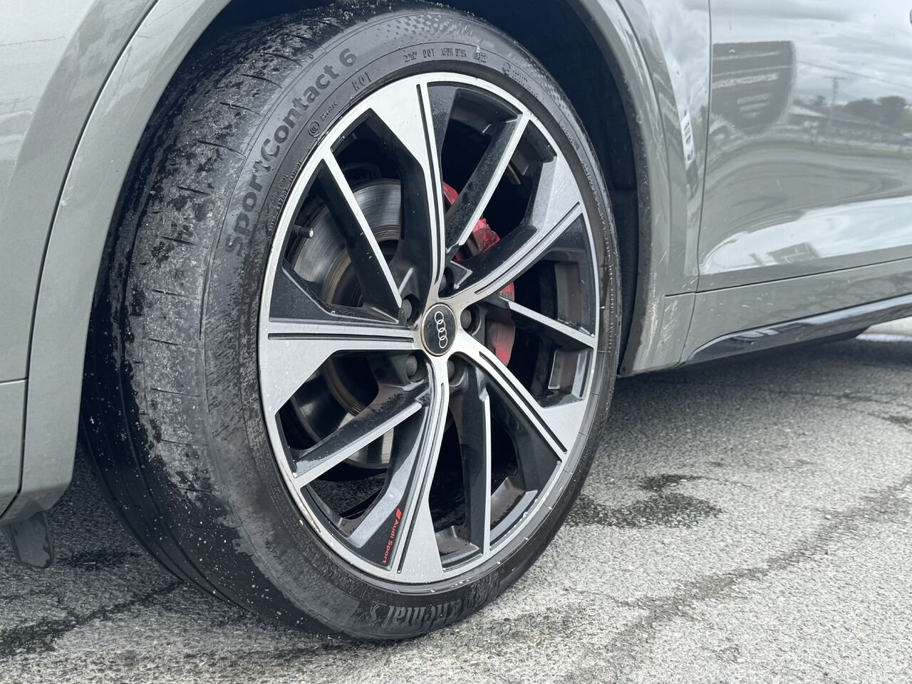 Audi SQ5 Progressiv 2023 Gris Granby - photo #10