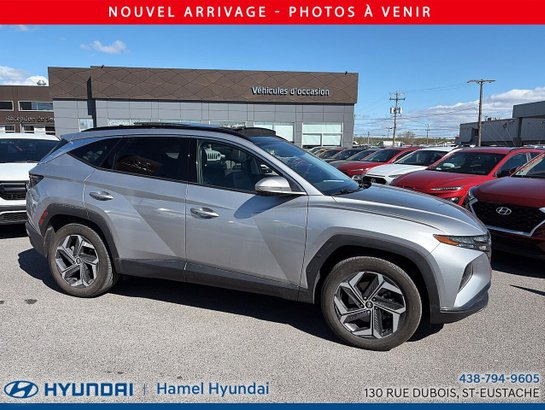 Hyundai Tucson hybride 2024 2024 Argent