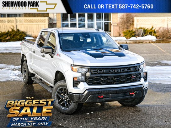 2022 Chevrolet Silverado 1500 2022 Grey