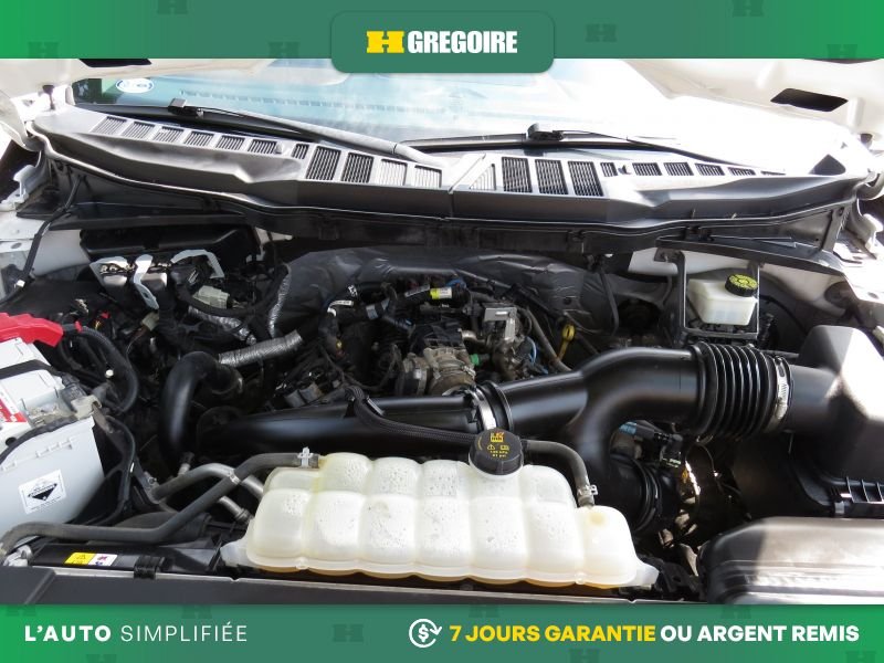 Ford F150 2021 Blanc Laval - photo #33
