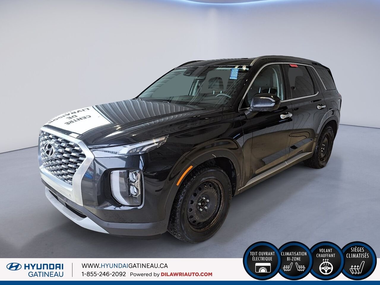 Hyundai Palisade 2020 Gris Gatineau - photo #0