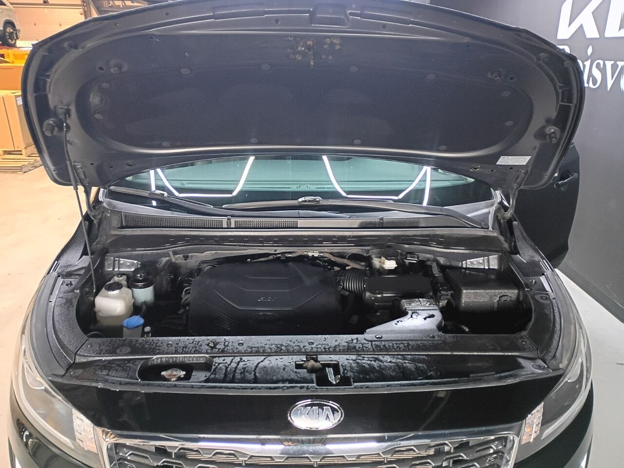 Kia Sedona 2019 Noir Blainville - photo #31