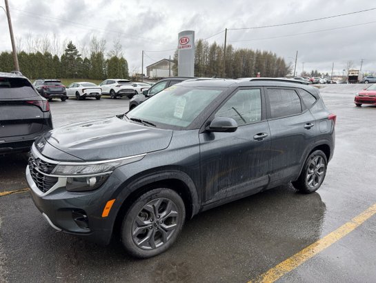 Kia Seltos 2024 2024 Gris