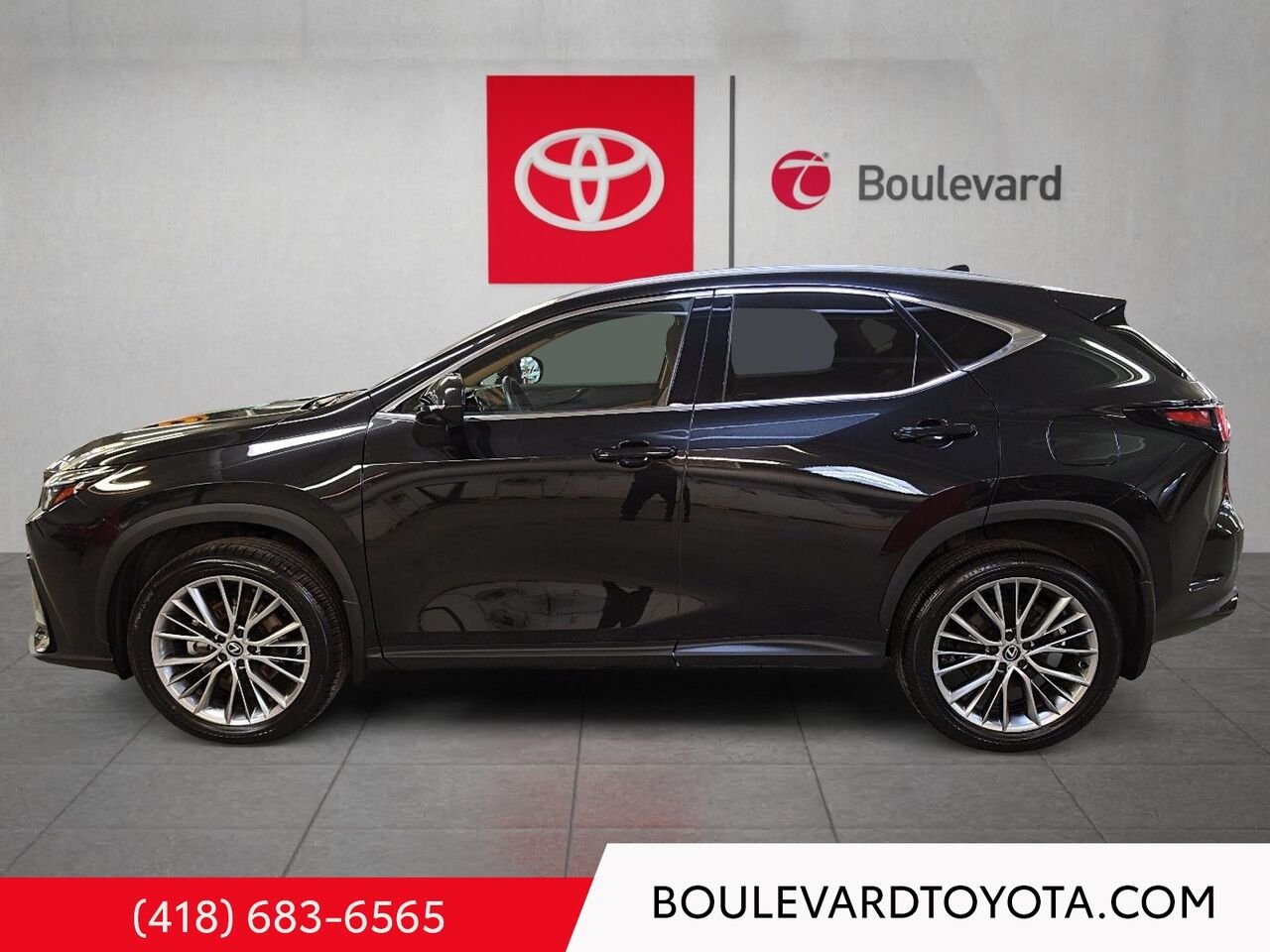 2024 Lexus NX 531802-68 | NX 350 Black Québec - photo #5