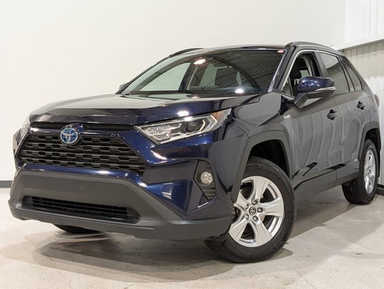 Toyota RAV4 2020 2020 Bleu