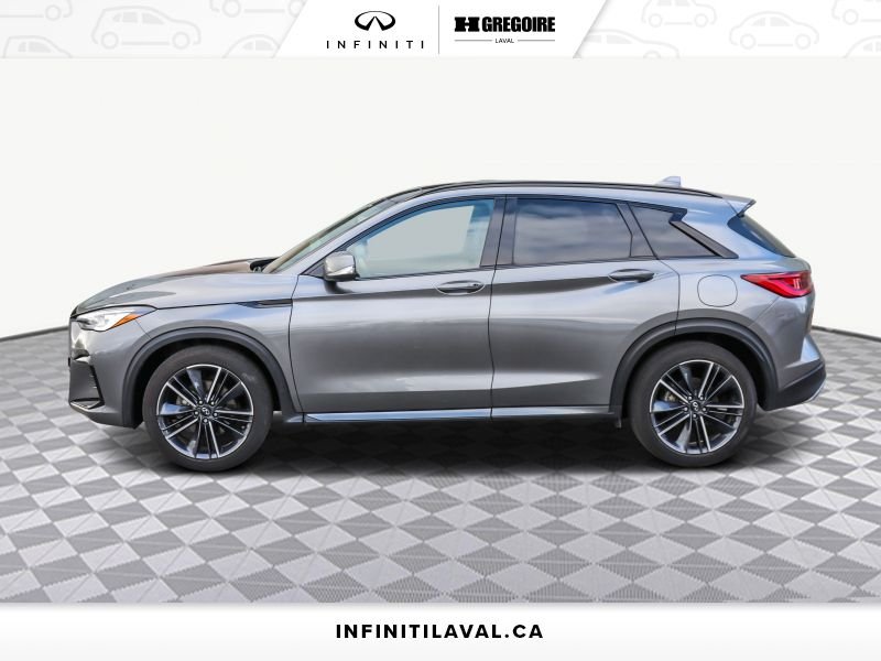 Infiniti QX50 2023 2023