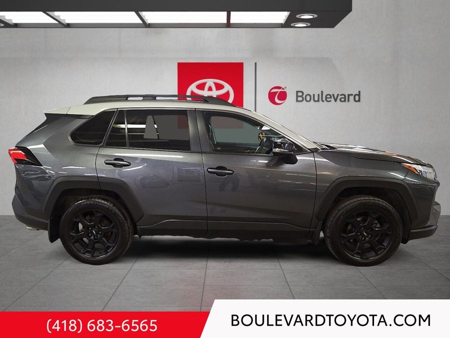 Toyota RAV4 2022 2022 Gris