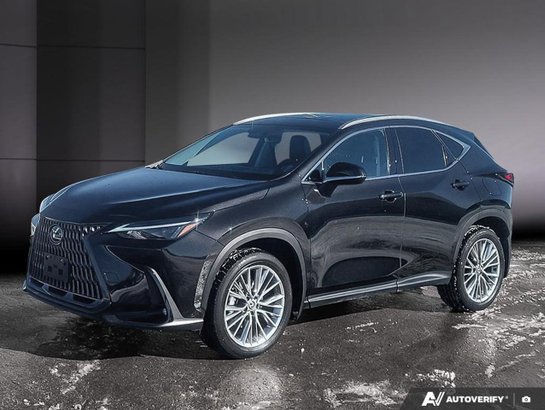 Lexus NX 2024 2024 Noir