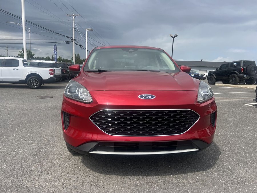 2020 Ford ESCAPE SE 2020 Red