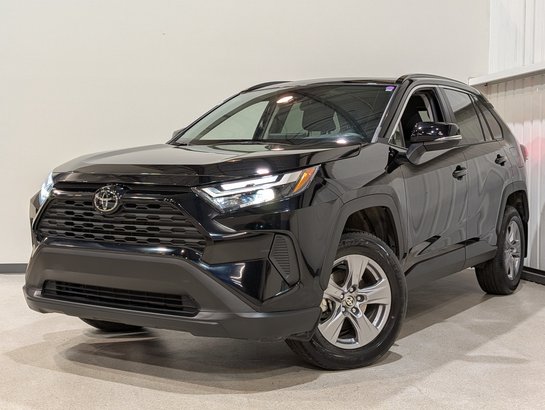 2024 Toyota RAV4 Grey