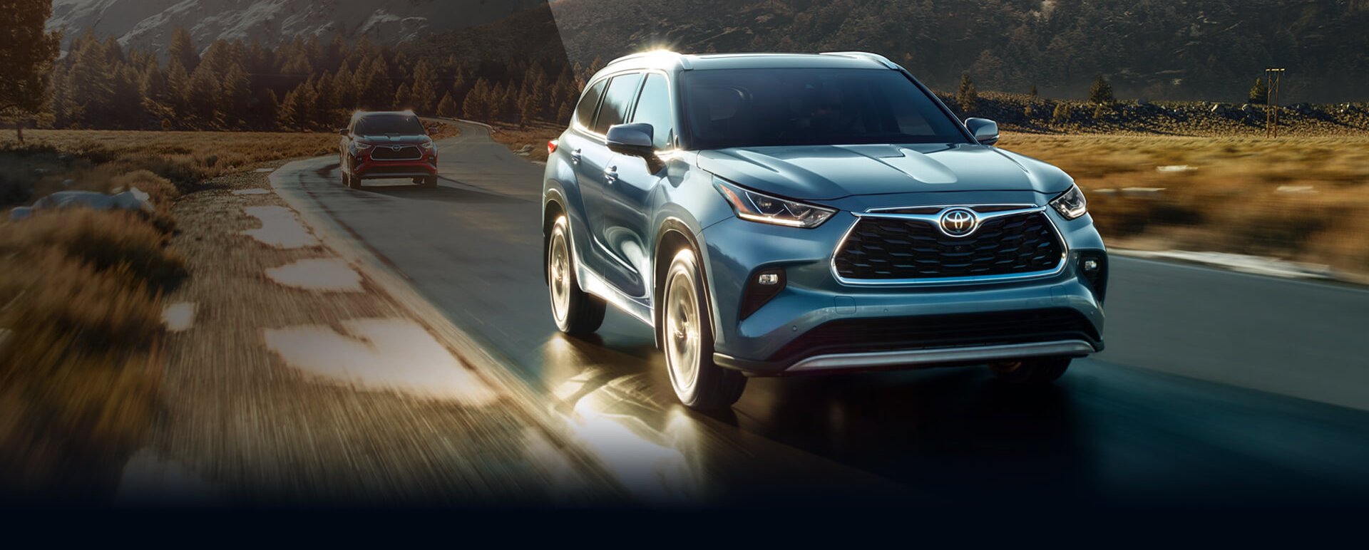 Dealer Toyota