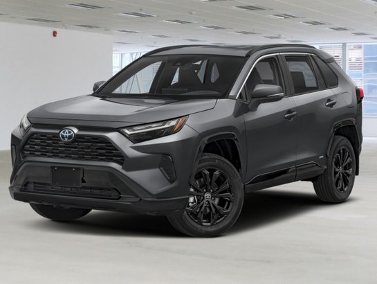 2024 TOYOTA RAV4 Hybrid 2024 Grey