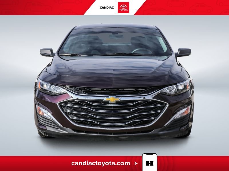 Chevrolet Malibu 2020 2020 mauve