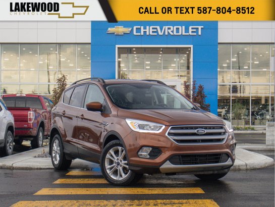 2017 Ford Escape 2017 Beige