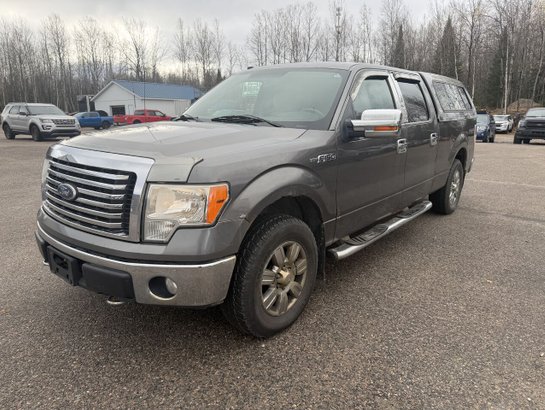 2010 Ford F-150 2010 Grey