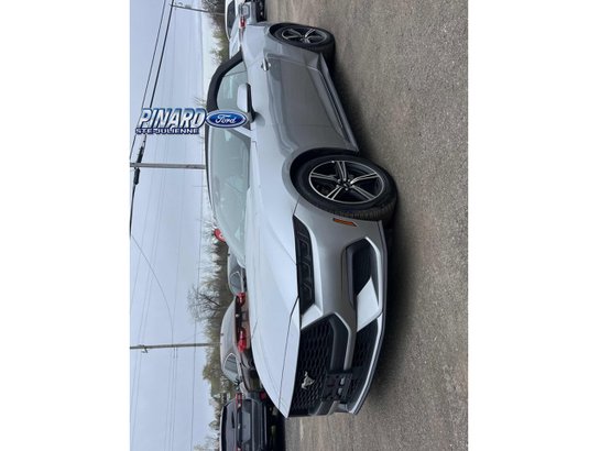 2025 Ford Mustang 2025 Silver