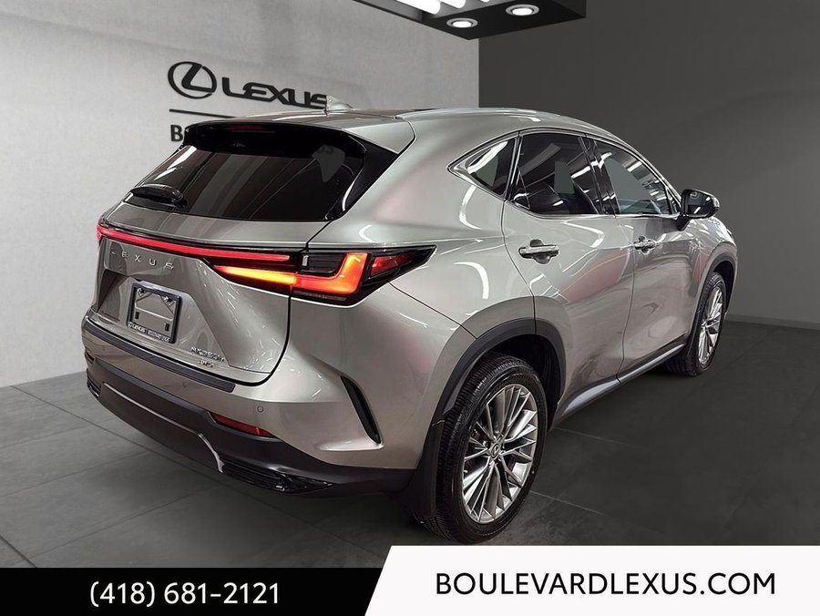 Lexus NX 2022 2022 Argent