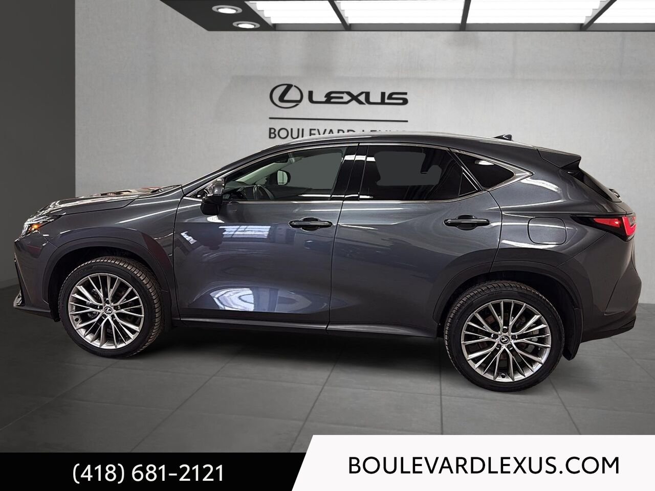 2024 Lexus NX Grey Quebec - photo #5