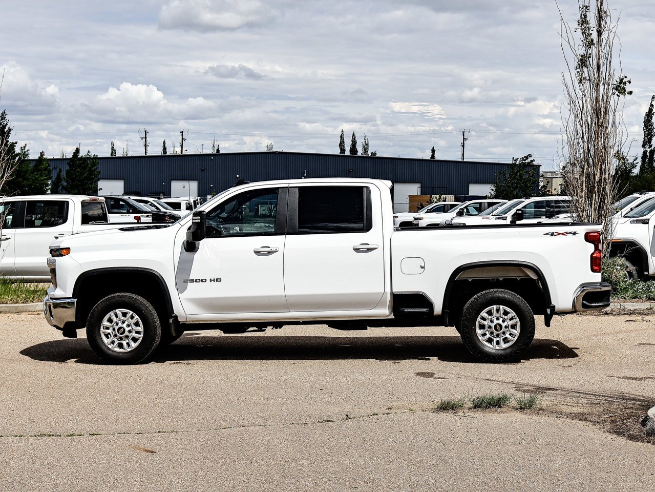2025 Chevrolet Silverado 2500HD 4WD Crew Cab 159 LT White Sherwood Park - photo #9