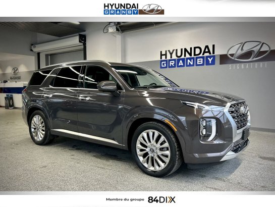 Hyundai Palisade 2020 2020 Brun