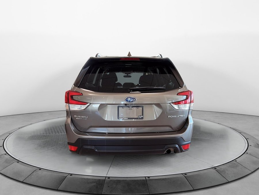 2019 Subaru Forester 2019 Bronze