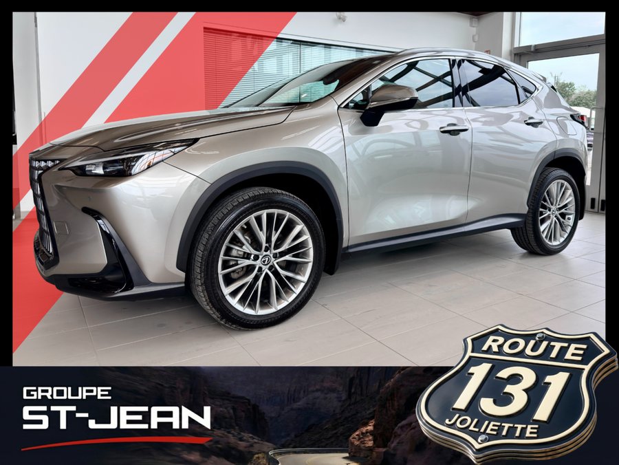 Lexus NX 2022 2022 Gris