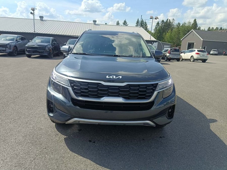 Kia Seltos 2023 2023 Gris