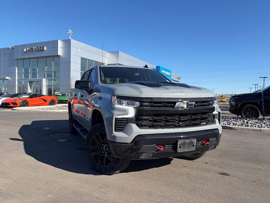 2024 Chevrolet Silverado 1500 2024 Grey