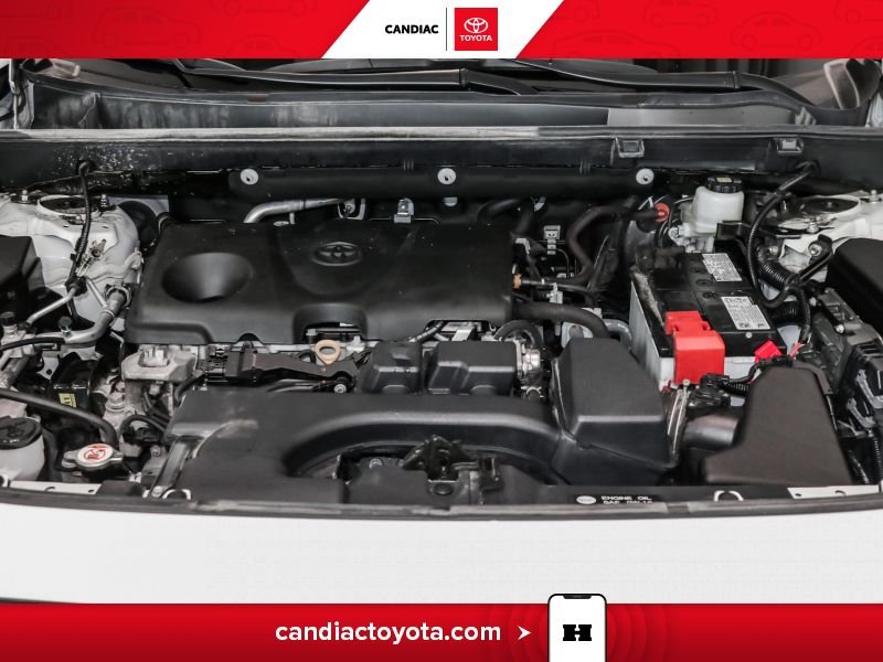 2024 Toyota Rav 4 White Laval - photo #36