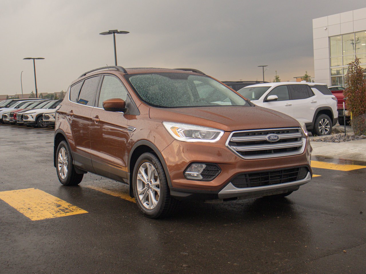 2017 Ford Escape FWD 4dr SE Beige Sherwood Park - photo #13