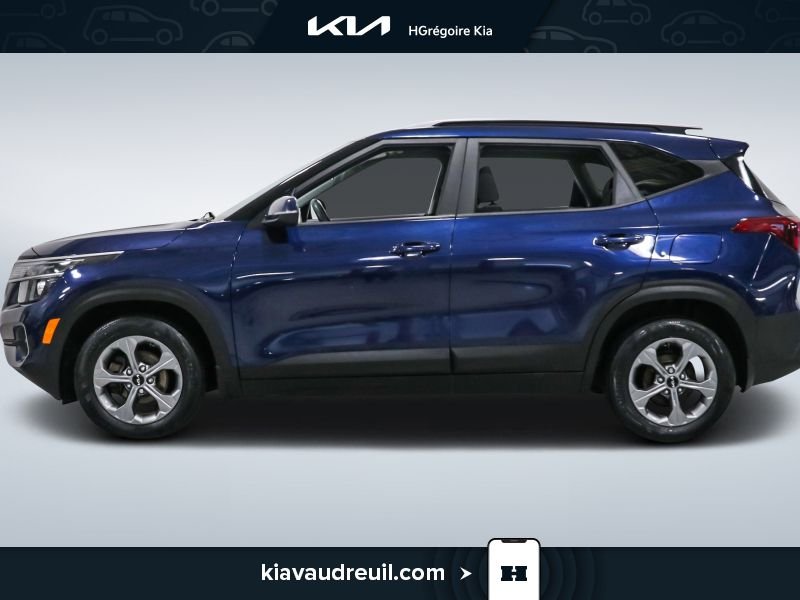 Kia Seltos 2022 2022 Bleu