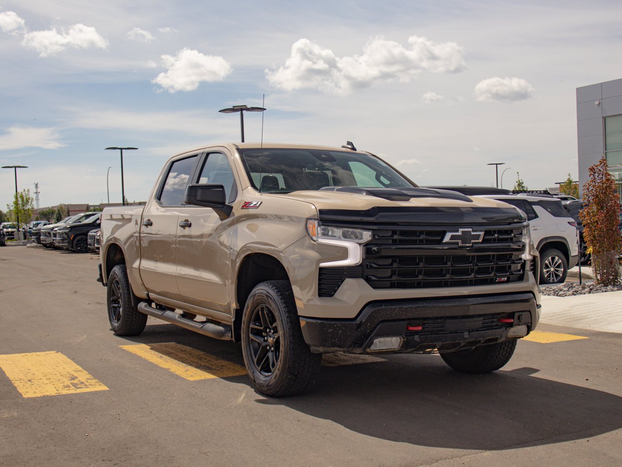 2022 Chevrolet Silverado 1500 4WD Crew Cab 147 LT Trail Boss Beige Sherwood Park - photo #12