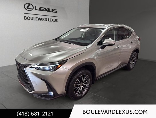 Lexus NX 2024 2024 Argent