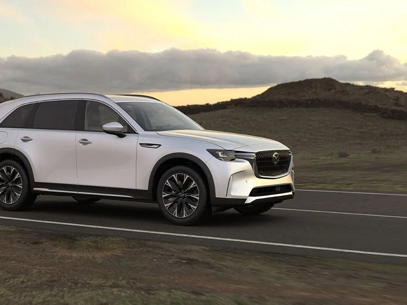 Integer vel congue ipsum