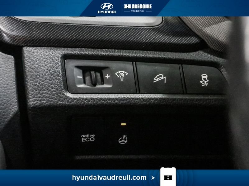 2013 Hyundai Santa Fe Grey Laval - photo #25
