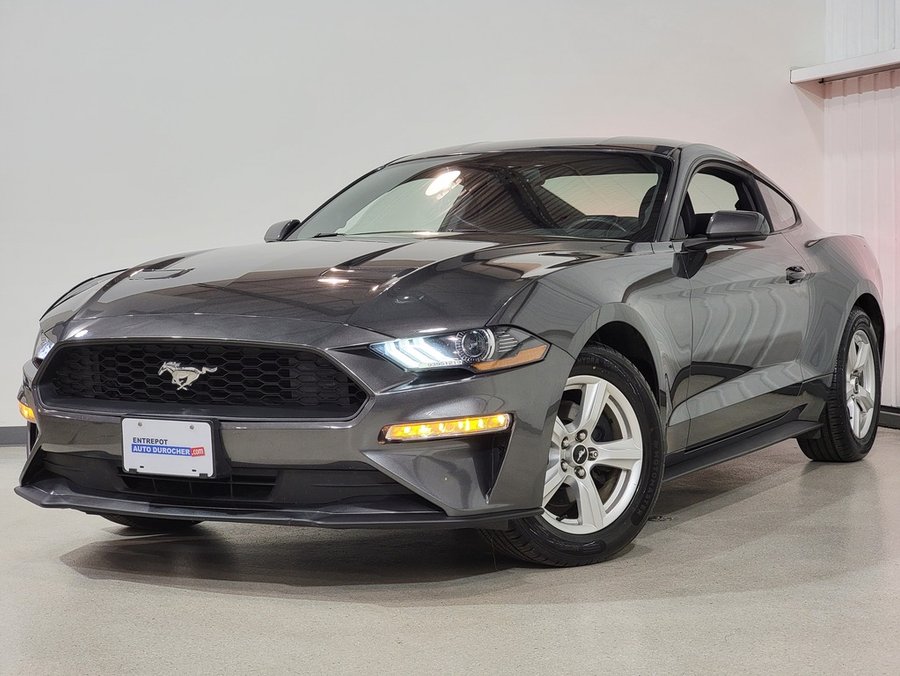 Ford Mustang EcoBoost Premium Fastback 2018 Gris