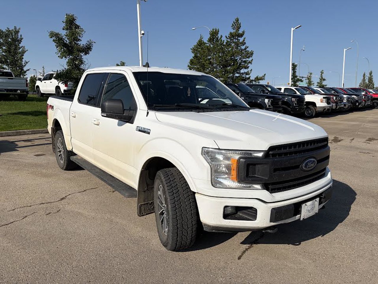 2019 Ford F-150 XLT 4WD SuperCrew 5.5' Box White Sherwood Park - photo #1