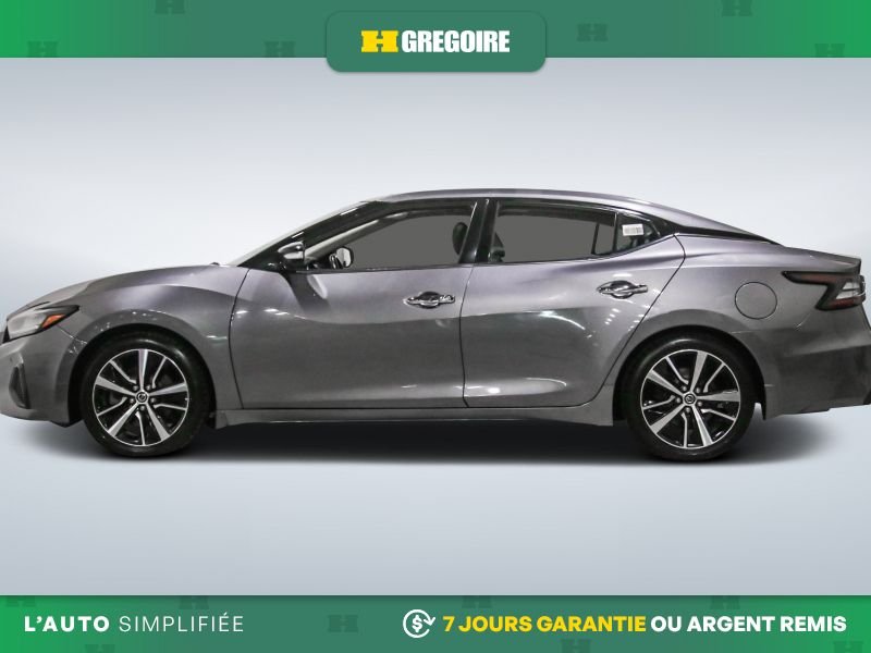 Nissan Maxima 2022 Gris Laval - photo #4