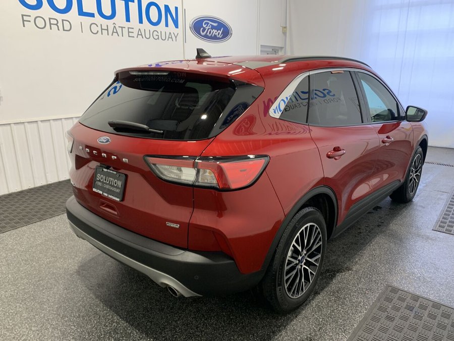 2021 Ford Escape ESCAPE SEL Rapid Red Metallic Tinted Clearcoat