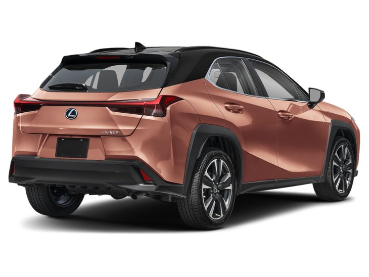 2025 Lexus UX UX 300h