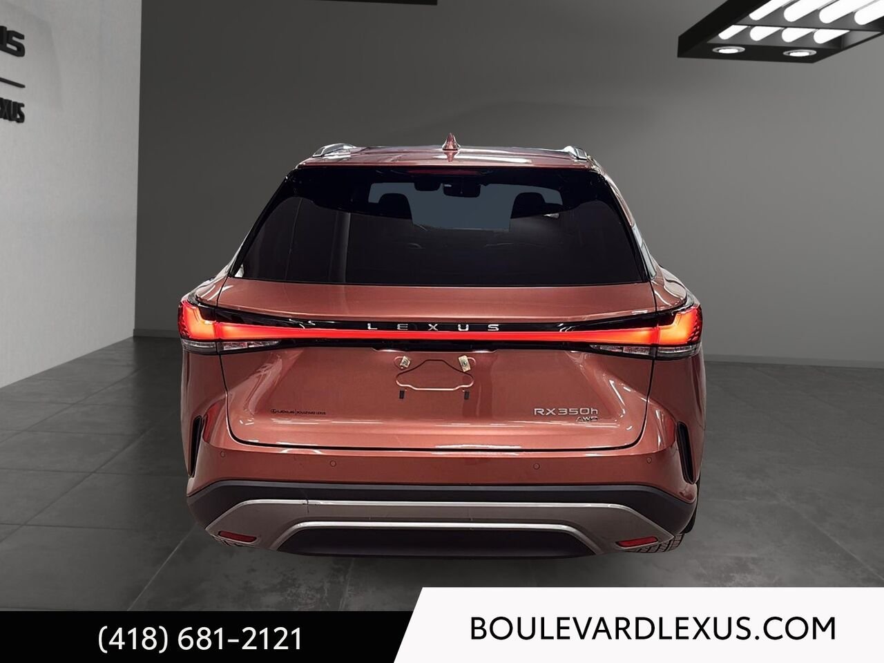 Lexus RX 19503A 2024 Bronze Québec - photo #4