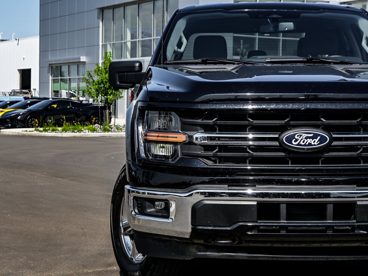 2024 Ford F-150 XLT 4WD SuperCrew 5.5' Box Black Sherwood Park - photo #4