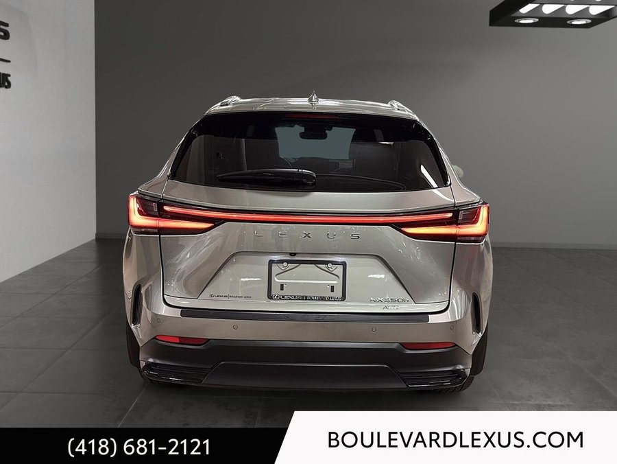 Lexus NX 2022 2022 Argent