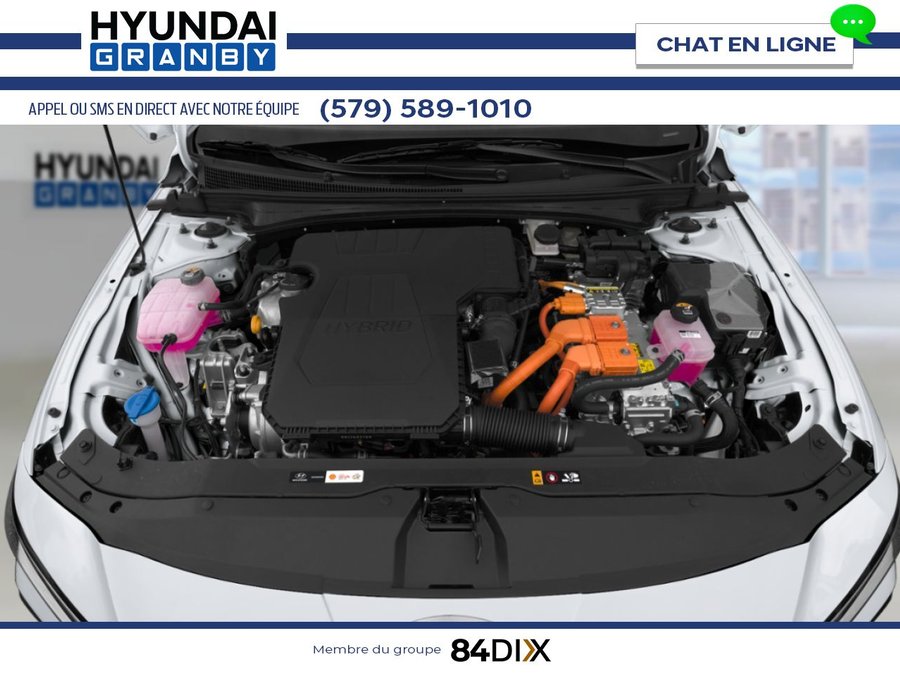 HYUNDAI Elantra hybride 2026 2026 Gris écotronique