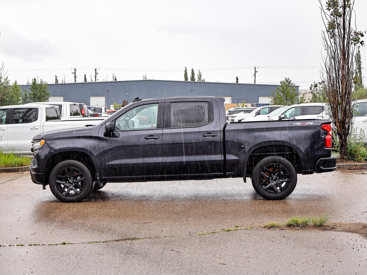 2024 Chevrolet Silverado 1500 4WD Crew Cab 147 RST Black Sherwood Park - photo #9